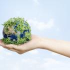 20 Most Sustainable Companies in the US