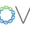 INOVIO to Present at Upcoming Scientific and Investor Conferences