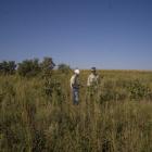 Leading U.S. Coal Producer Developing Solar, Energy Storage at Former Mines