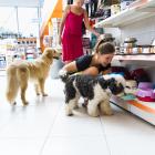 Why Petco Stock Is Skyrocketing Today