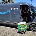 US parcel market to grow 36% by 2030, Pitney Bowes says