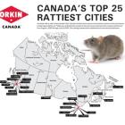 Rodents on the run: Orkin Canada releases 2024 list of Rattiest Cities