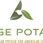 Sage Potash Grants Stock Options