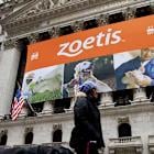 Zoetis Stock Is Falling. Why the Animal-Health Company Was Downgraded.