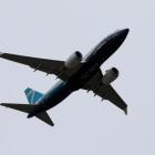 FAA plans to review 737 MAX engine issue after bird strike incidents