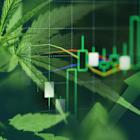 Cannabis Stock Tilray Brands Loses 19% in a Month: Time to Sell or Hold?