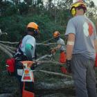 Wells Fargo Supports Disaster Recovery With $2 million Grant to Team Rubicon