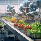 United Natural Foods, Inc. (UNFI) Announces Q3 2025 Results; BMO Capital Lowers PT