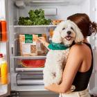 Freshpet Stock Touches New Buy Point As Company Turns Profitable