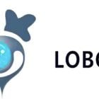 LOBO EV Technologies Ltd. Announces Strategic Collaboration with Roundtree Lab, LLC to Manufacture Advanced E-Hospital Beds