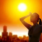 FSLR vs. CSIQ: Which Solar Stock Is the Brighter Player?
