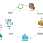 Case Study: Leading the Way With Circularity