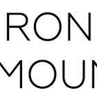 Iron Mountain Reports First Quarter 2025 Results