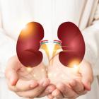 Novartis’ Fabhalta shows positive outcomes in C3 glomerulopathy treatment