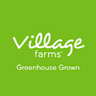 Village Farms International Inc (VFF) Q1 2025 Earnings Call Highlights: Strategic Moves and ...