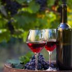 Fresh Vine Wine agrees merger with Amaze Software