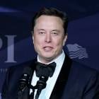 Elon Musk continues to be a 'troubleshooter': Cathie Wood