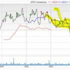 Bear of the Day: Darling Ingredients Inc. (DAR)