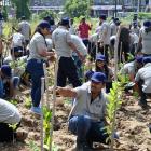 Otis India Volunteers Create Urban Forests of Native Trees and Plants