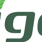 Tigo Energy and BayWa r.e. Empower High-Wattage C&I Solar in Thailand