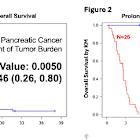ASCO Report of Pioneering Treatment of Lymphopenia with Significant Overall Survival Benefit in Advanced Pancreatic Cancer