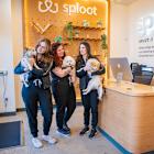 Synchrony Partners with Sploot Veterinary Care to Finance Comprehensive Veterinary Services with CareCredit