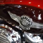 Harley-Davidson’s Sales Drop, Prompting Cut in 2024 Outlook