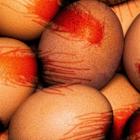 Salmonella outbreak: Recalled eggs sold at Walmart, Safeway, and elsewhere sicken people in 7 states