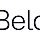 Belden Reports First Quarter 2025 Results