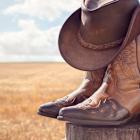 UnitedHealth stock, Boot Barn on top of tariffs, Boeing boosted