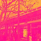 Apparel and Accessories Stocks Q4 Results: Benchmarking Guess (NYSE:GES)