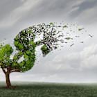 Regencell's 82,000% Surge: The $33 Billion Stock Rally That Nobody Can Explain