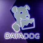 Datadog lifts annual revenue forecast on AI-driven cloud security demand