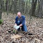 Mon Power Volunteers Plant and Donate More Than 2,700 Trees