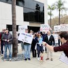 Fight intensifies over bill by former Edison executive to gut rooftop solar credits