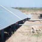 Renewable energy remains cheapest power builds as new gas plants get pricier