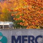 Merck to Spend $1 Billion on New Factory to Make U.S. Supplies of Blockbuster Drug