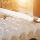 How This Egg Producer Beat Nvidia In IBD 50's First 6 Months Of 2024