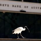 Australia's central bank bars Canadian investment bank from private briefings after leak - sources