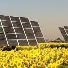 Solar energy faces stiff competition from nuclear providers