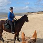 Volunteer Award Winner Julia Reilly: Being a Hero for Horses in Maryland