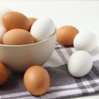 Cal-Maine Foods Fiscal Second-Quarter Results Rise Annually Amid Higher Egg Prices, Strong Demand