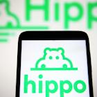 Hippo Insurance pitches big comeback by 2028, CEO explains