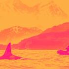 Lindblad Expeditions (LIND) Q1 Earnings Report Preview: What To Look For