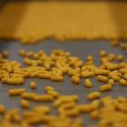 'Creator' of Flamin' Hot Cheetos loses PepsiCo, Frito-Lay lawsuit