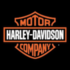 Harley-Davidson Inc (HOG) Q1 2025 Earnings Call Highlights: Navigating Challenges with ...