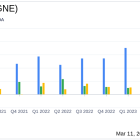 Genie Energy Ltd. (GNE) Reports Record Revenue in Q4 and Full Year 2023 Despite Operational Loss