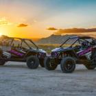 POLARIS UNLEASHES THE LIMITED-EDITION RZR PRO R RACE REPLICA - INSPIRED BY RZR'S RACING CHAMPIONSHIP DNA