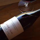 Willamette Valley Vineyards appoints new CEO