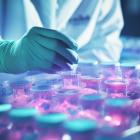 Why Is Nurix Therapeutics, Inc. (NRIX) Among the Best Small-Cap Biotech Stocks With Massive Potential According to Hedge Funds?